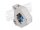 Delock Hutschienenadapter mit Keystone SC Simplex Buchse zu Buchse blau