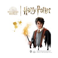 SES - Harry Potter - Bügelperlenset Figuren