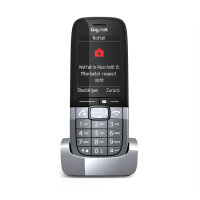 Gigaset pro SL850H Mobilteil mit Ladeschale