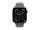 Apple Watch S11 Titan Natur Cellular 46mm (Sportband steingrau) S/M