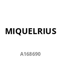 Miquelrius Bag to work Series Laptop Hülle 13"&14" schwarz