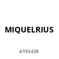 Miquelrius Rucksack Triple Amsterdam Recy 28l 3 Fächern lila