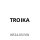 TROIKA Schlüsselanhänger VW LEATHER