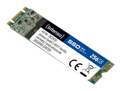 Intenso Top 256 GB M.2 Serial ATA III